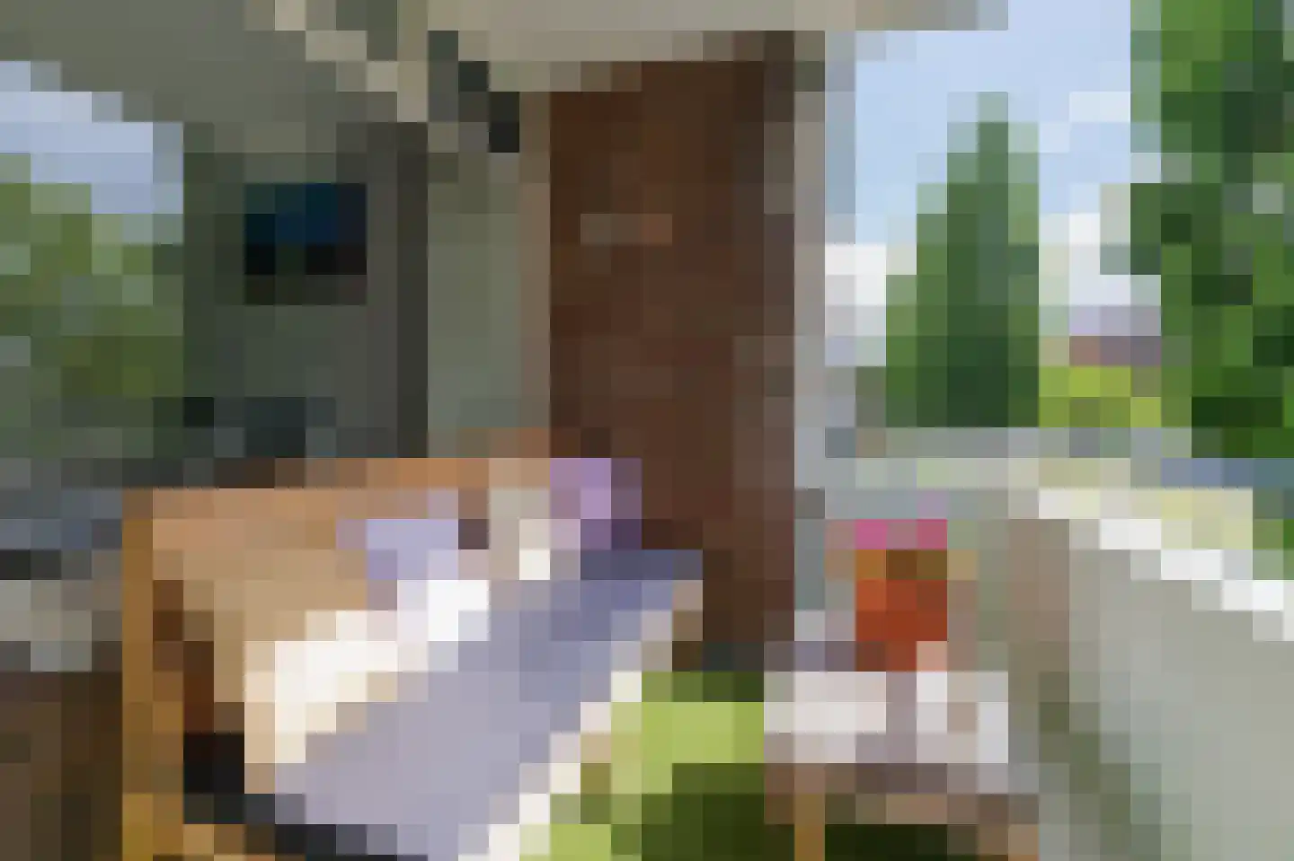 Jacob van Ruysdaelstraat 43 Groningen thumbnail 4