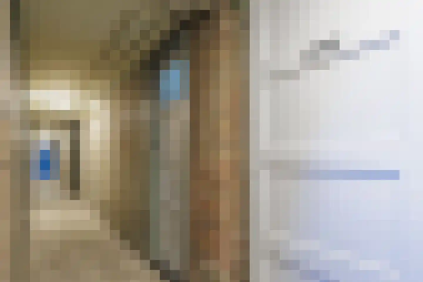 Jacob van Ruysdaelstraat 43 Groningen thumbnail 46
