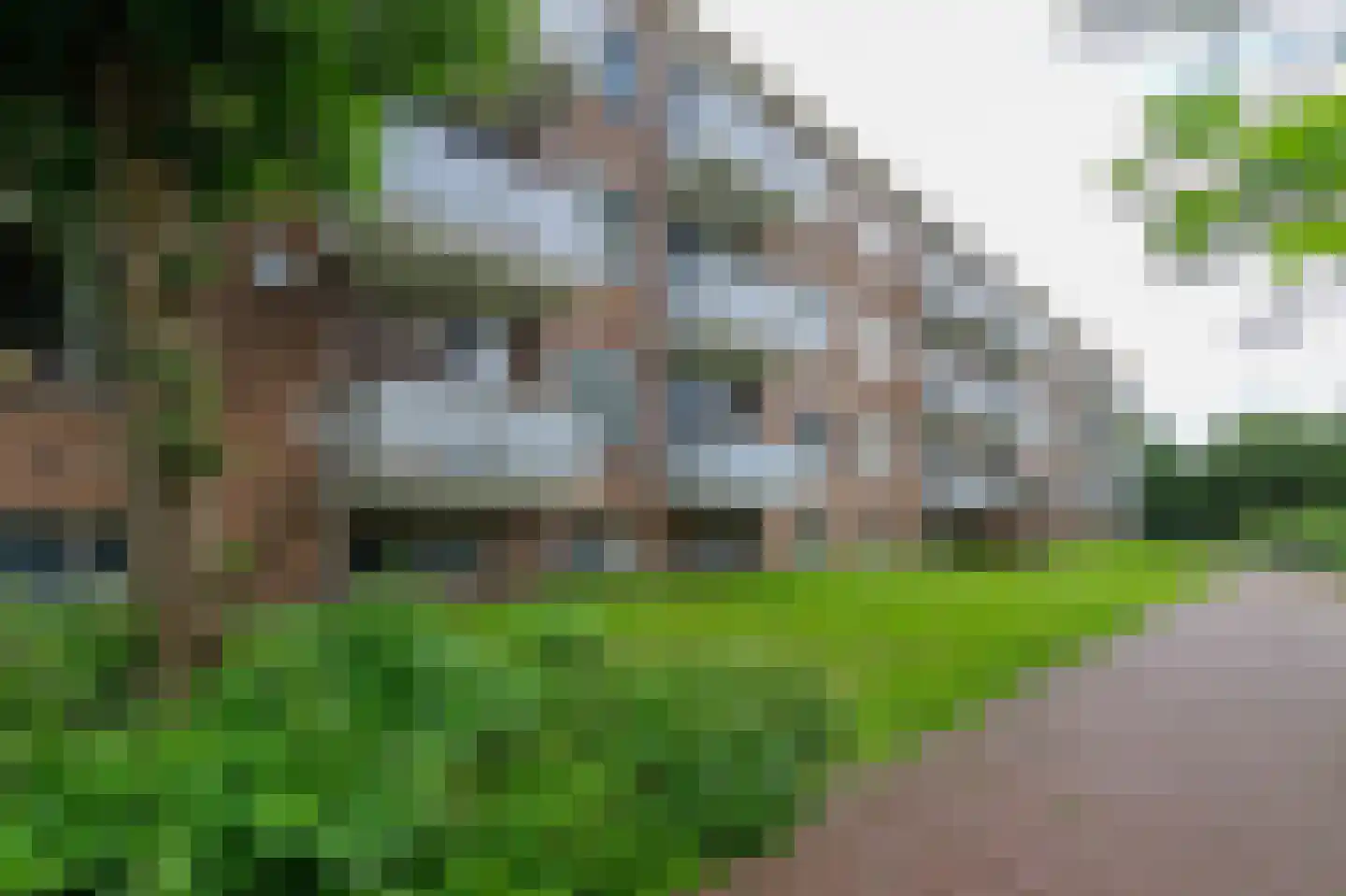Jacob van Ruysdaelstraat 43 Groningen thumbnail 48