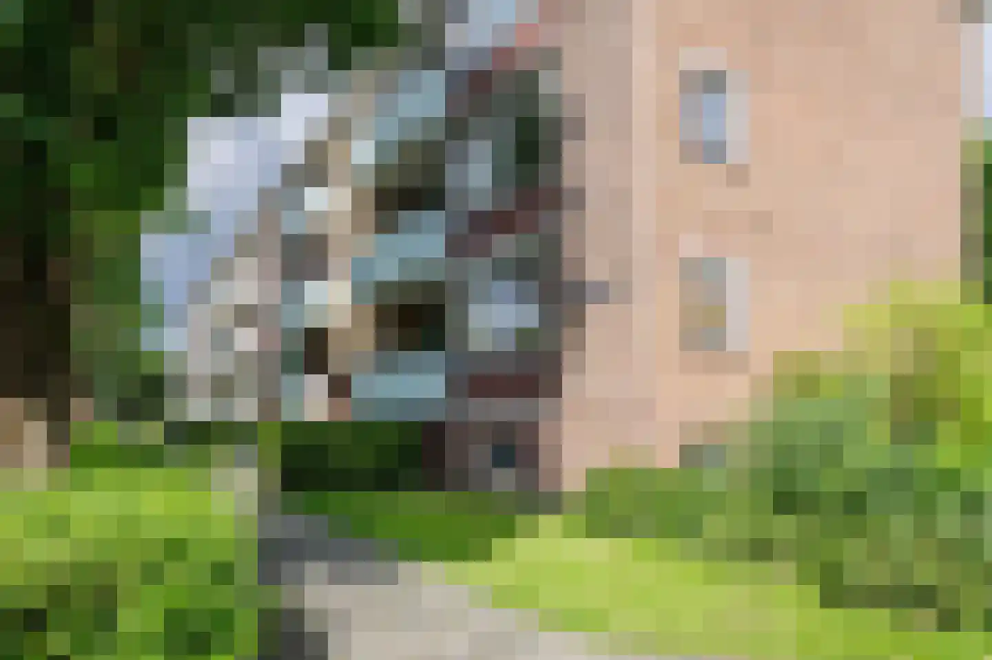 Jacob van Ruysdaelstraat 43 Groningen thumbnail 8