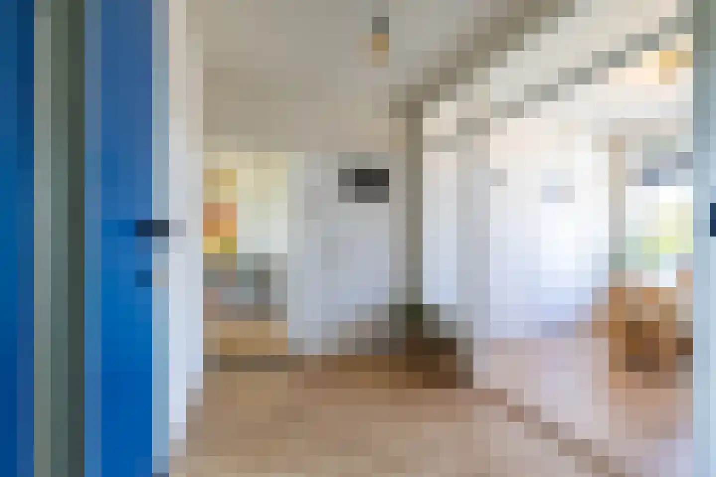 Jacob van Ruysdaelstraat 45 Groningen thumbnail 11