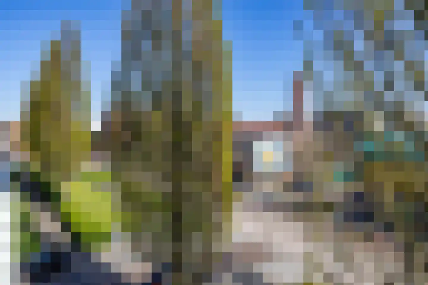 Jacob van Ruysdaelstraat 45 Groningen thumbnail 29