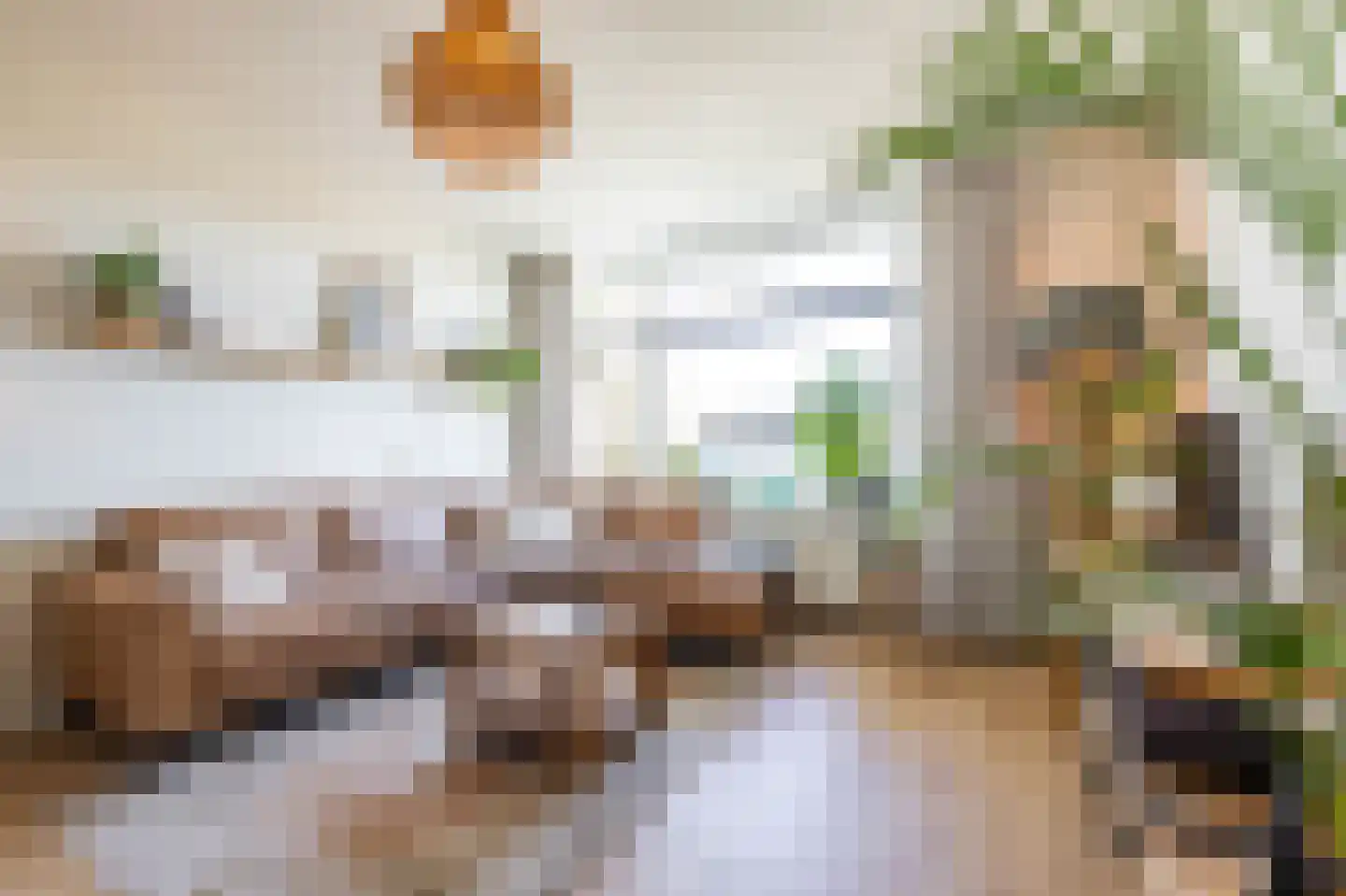 Jacob van Ruysdaelstraat 45 Groningen thumbnail 43