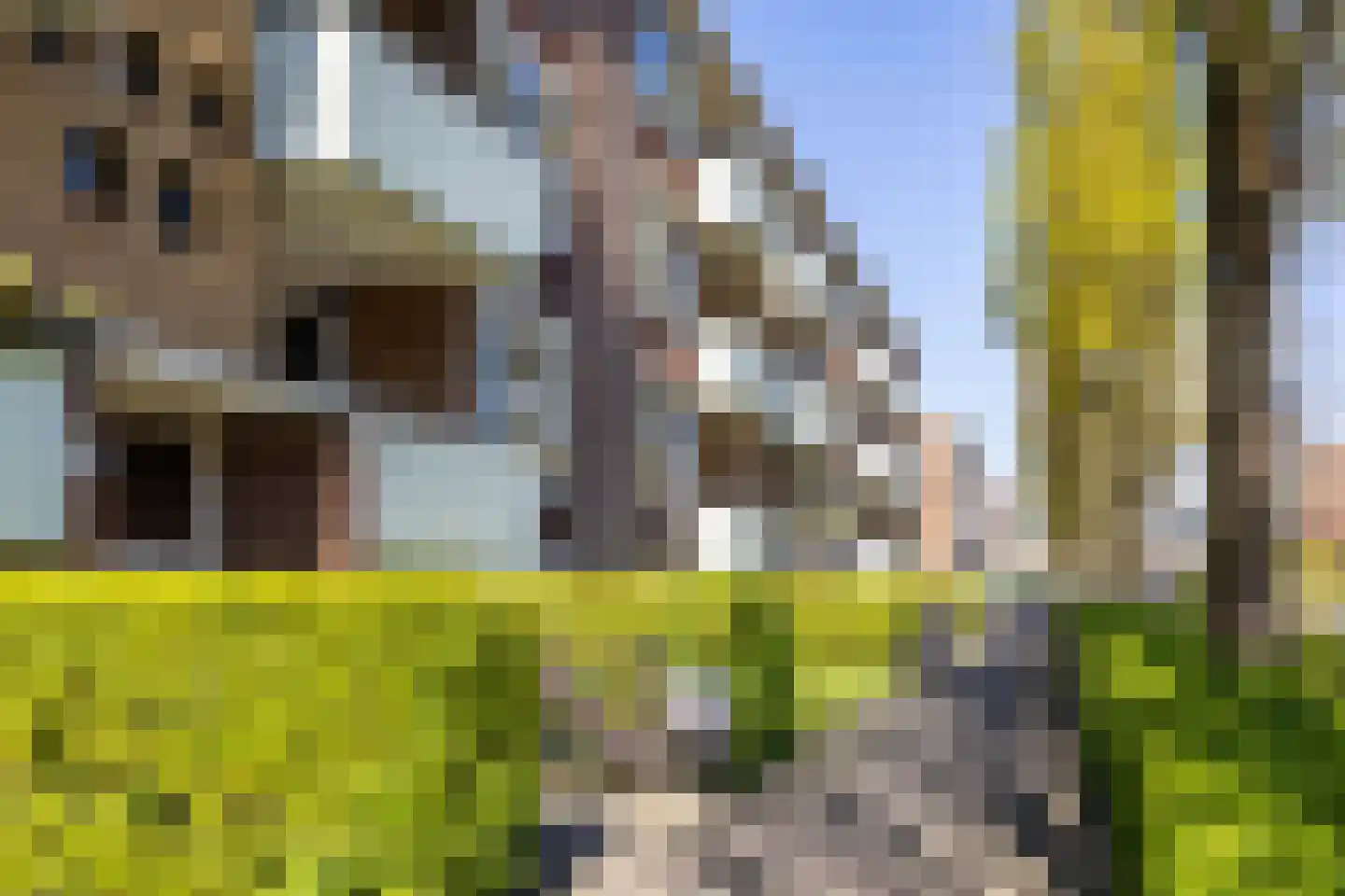 Jacob van Ruysdaelstraat 45 Groningen thumbnail 8