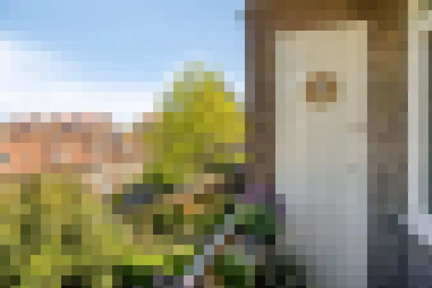 Jacob van Ruysdaelstraat 45 's-Hertogenbosch thumbnail 14