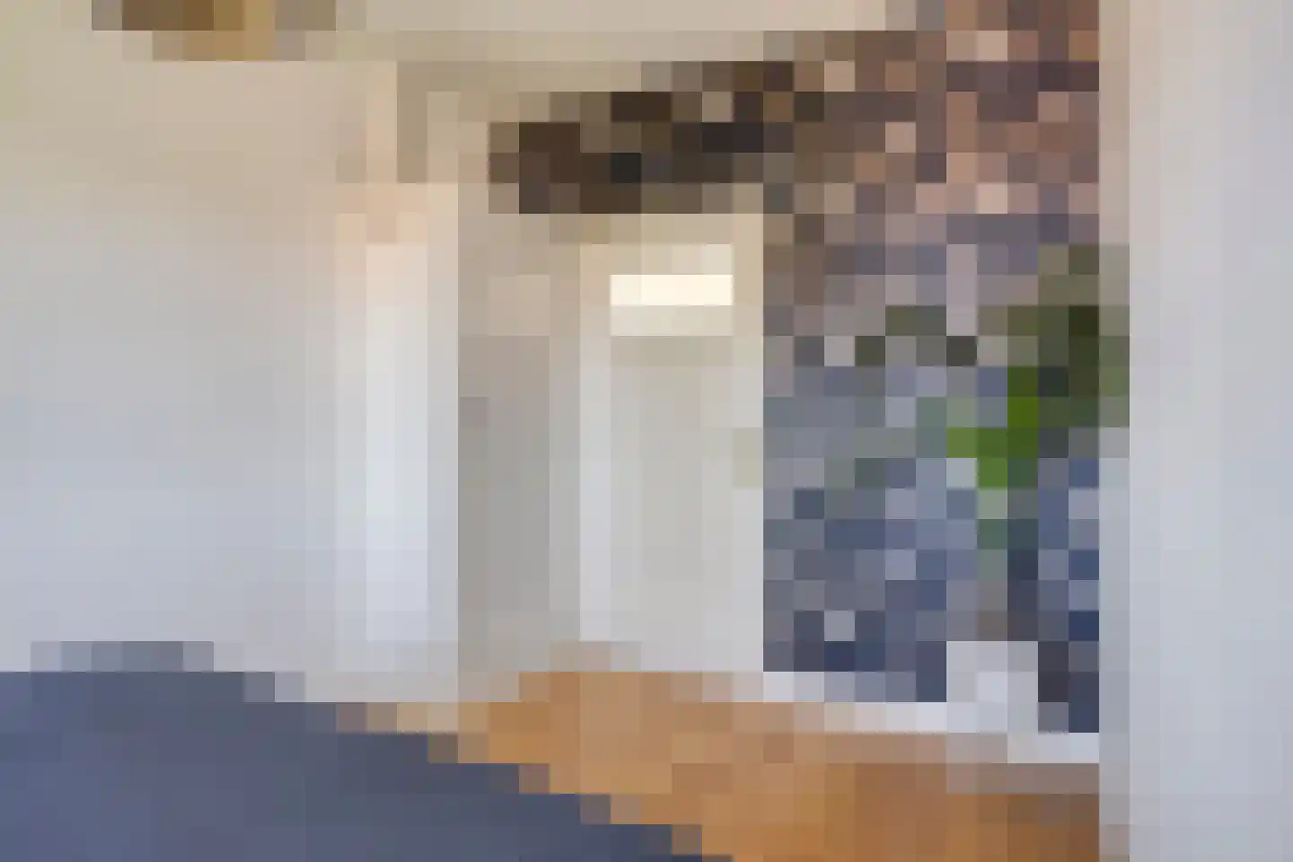 Jacob van Ruysdaelstraat 45 's-Hertogenbosch thumbnail 18