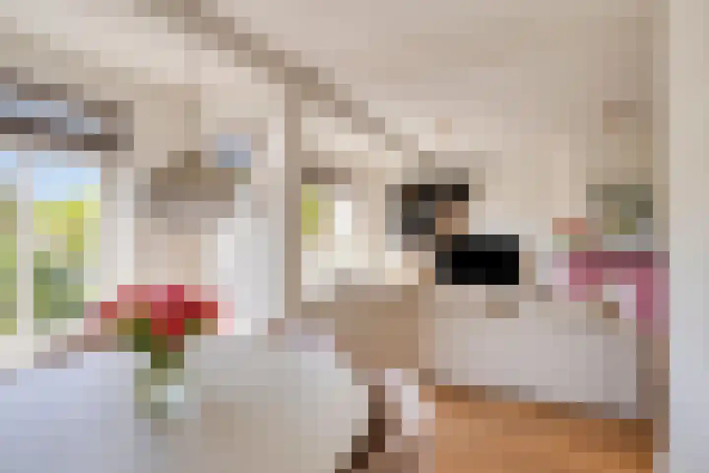 Jacob van Ruysdaelstraat 45 's-Hertogenbosch thumbnail 8