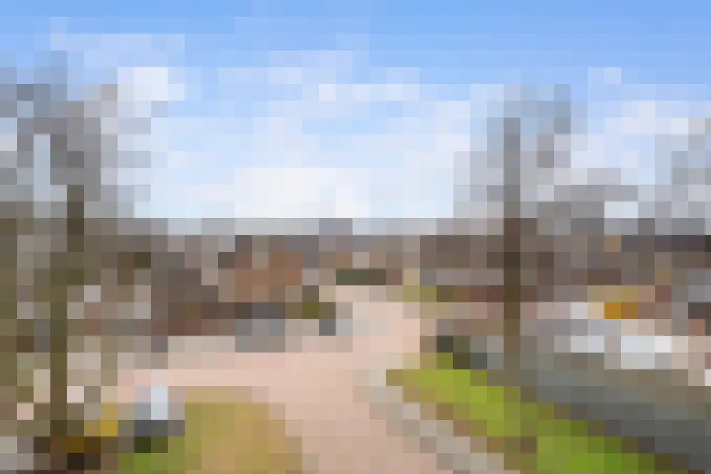 Jacob van Ruysdaelstraat 48 Papendrecht thumbnail 29