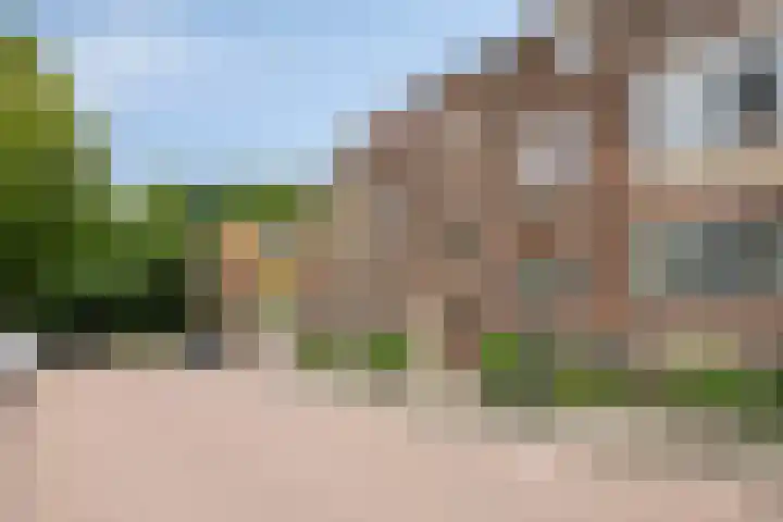 Jacob van Ruysdaelstraat 49 's-Hertogenbosch thumbnail 8