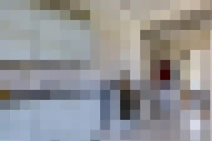 Jacob van Ruysdaelstraat 5 Groningen thumbnail 12
