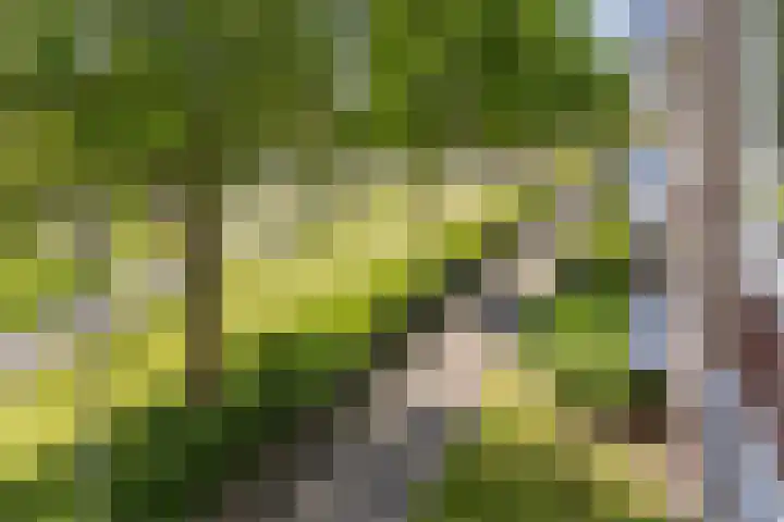 Jacob van Ruysdaelstraat 5 Groningen thumbnail 22