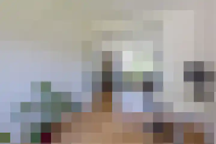 Jacob van Ruysdaelstraat 5 Groningen thumbnail 9