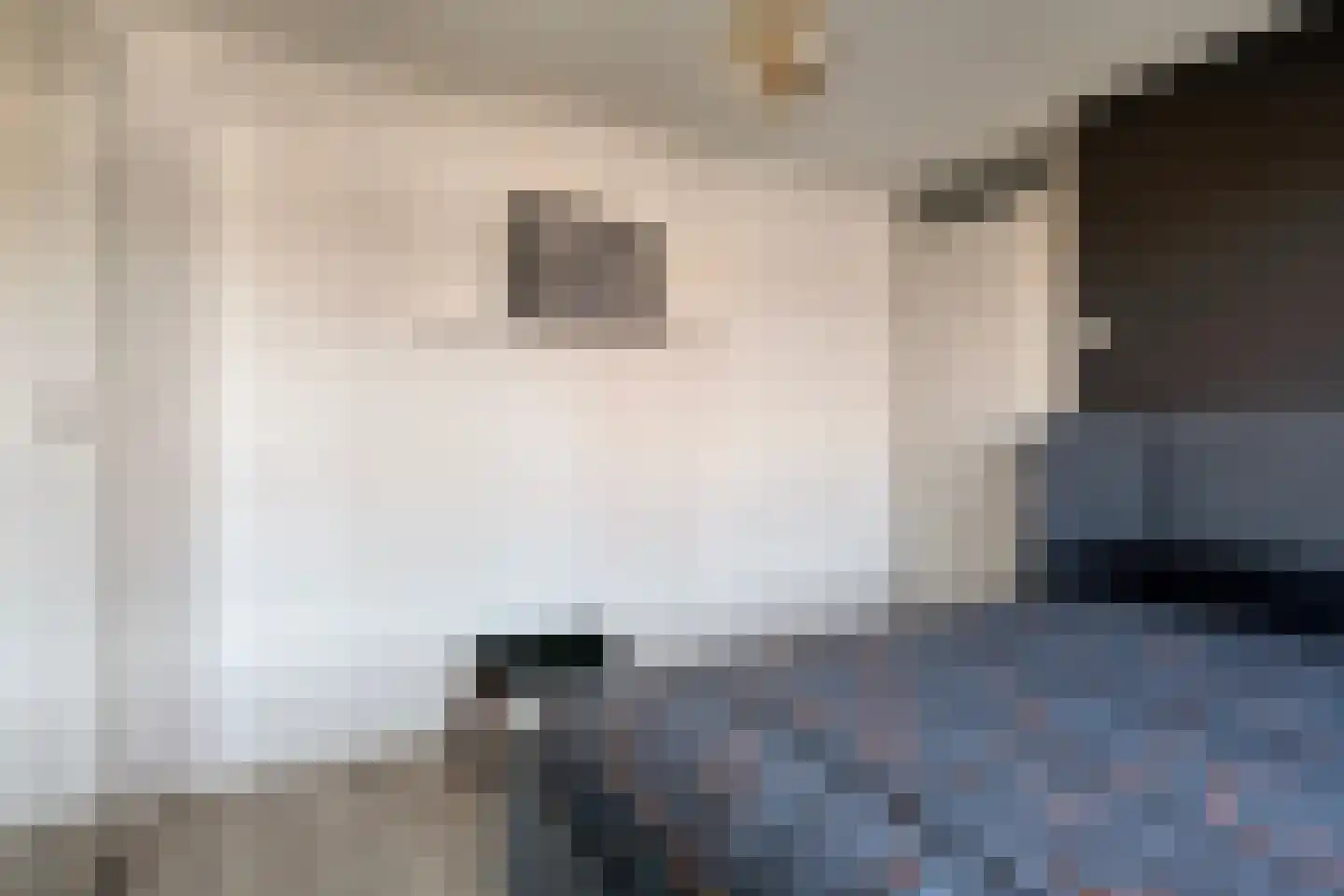 Jacob van Ruysdaelstraat 5 Hoogezand thumbnail 19