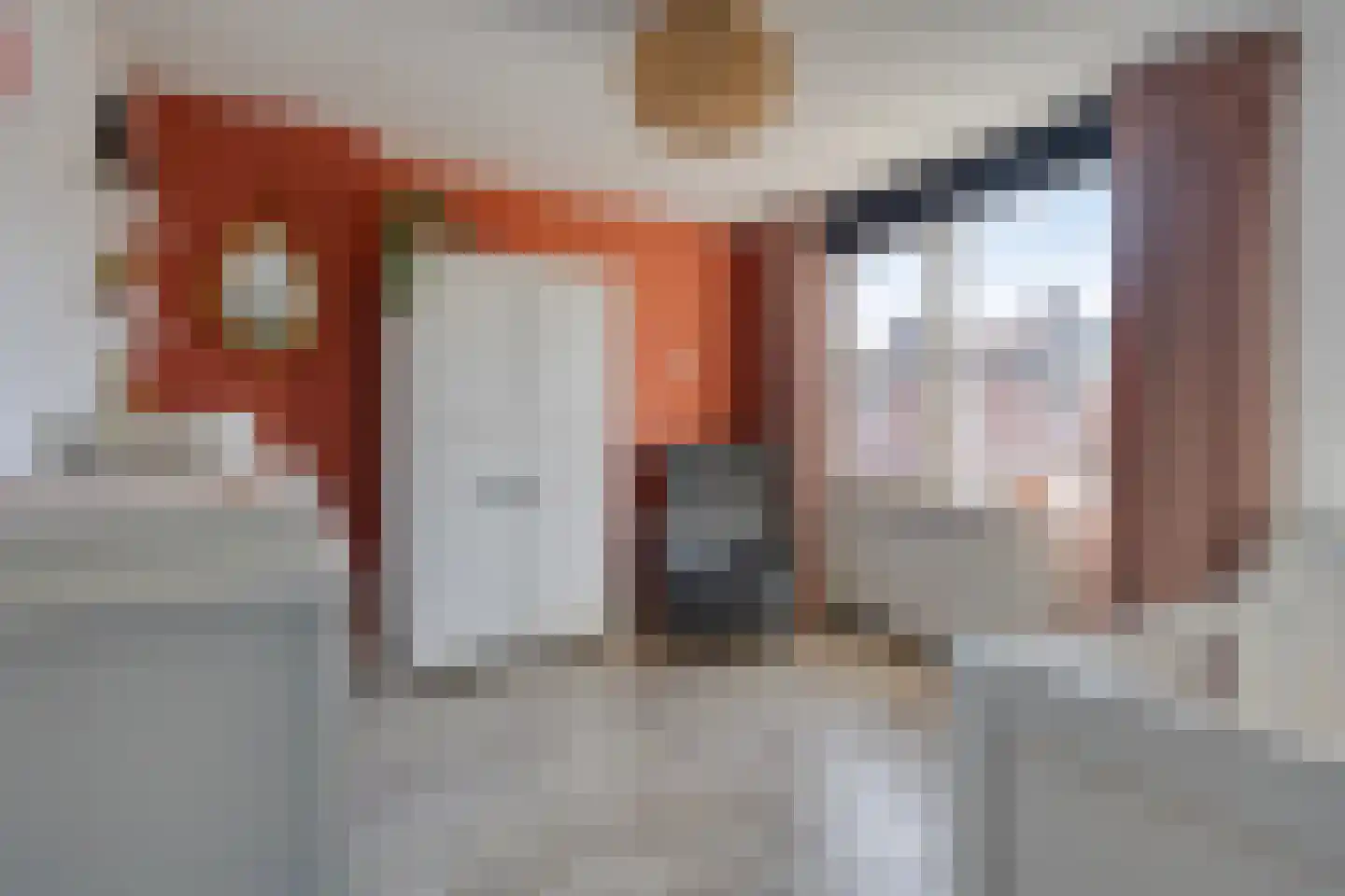 Jacob van Ruysdaelstraat 5 Hoogezand thumbnail 20