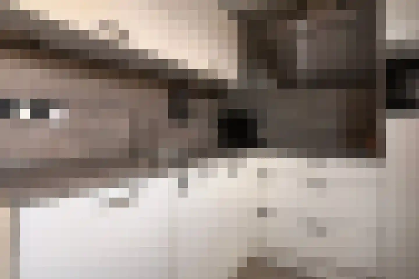 Jacob van Ruysdaelstraat 5 Hoogezand thumbnail 9
