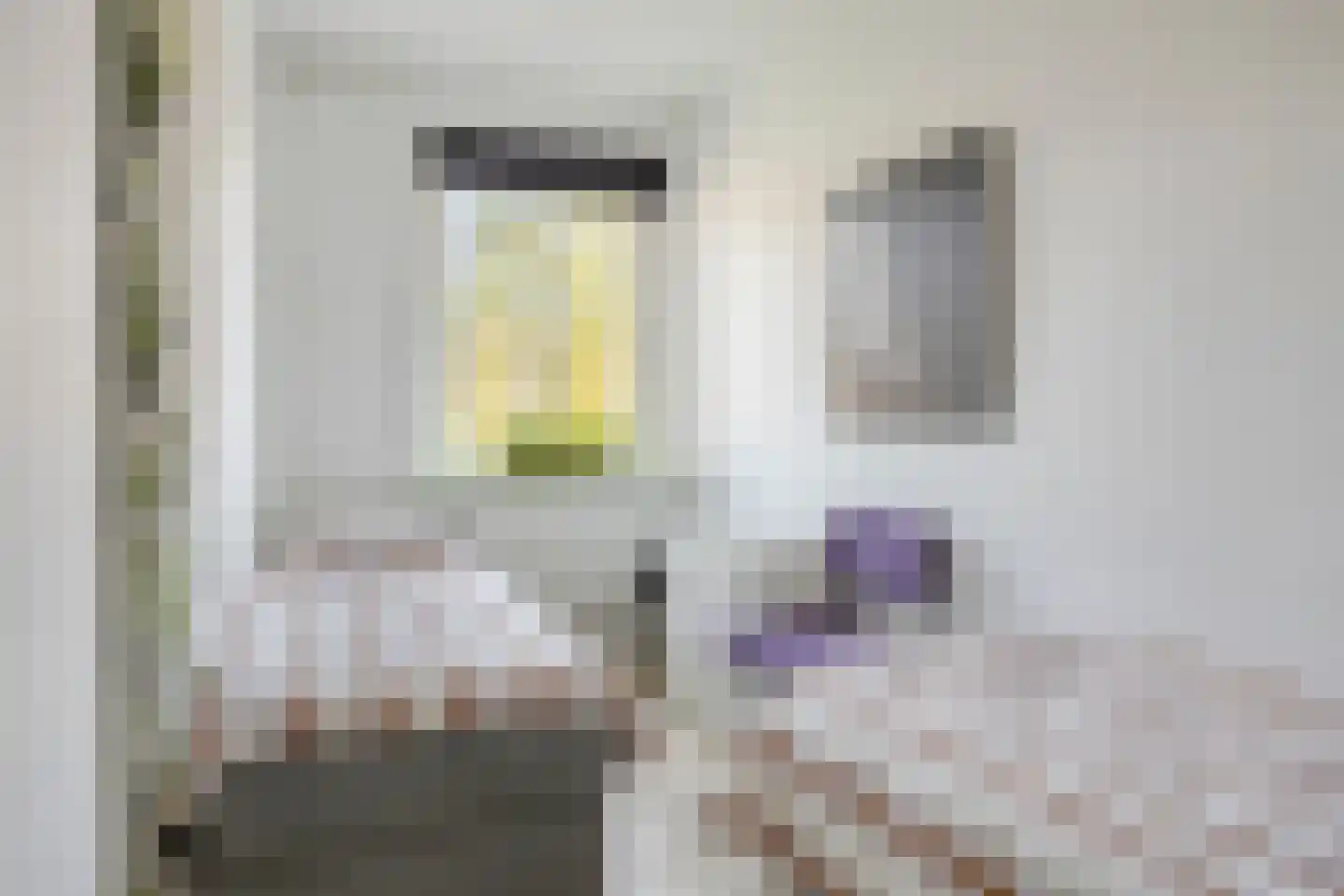 Jacob van Ruysdaelstraat 51 's-Hertogenbosch thumbnail 21
