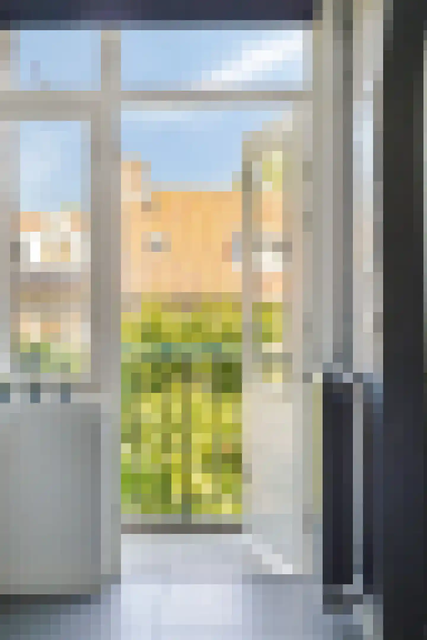 Jacob van Ruysdaelstraat 51 's-Hertogenbosch thumbnail 23