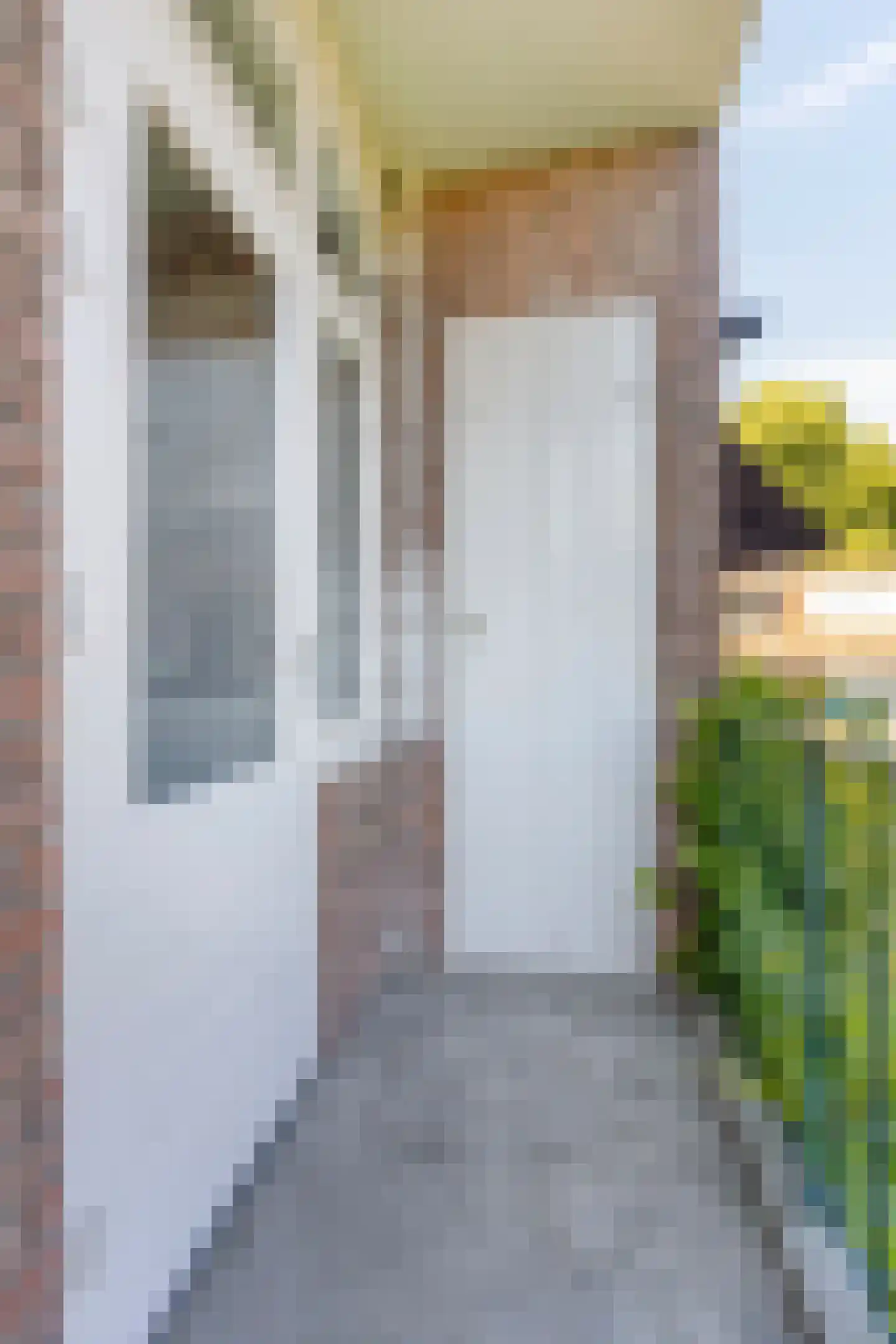 Jacob van Ruysdaelstraat 51 's-Hertogenbosch thumbnail 24