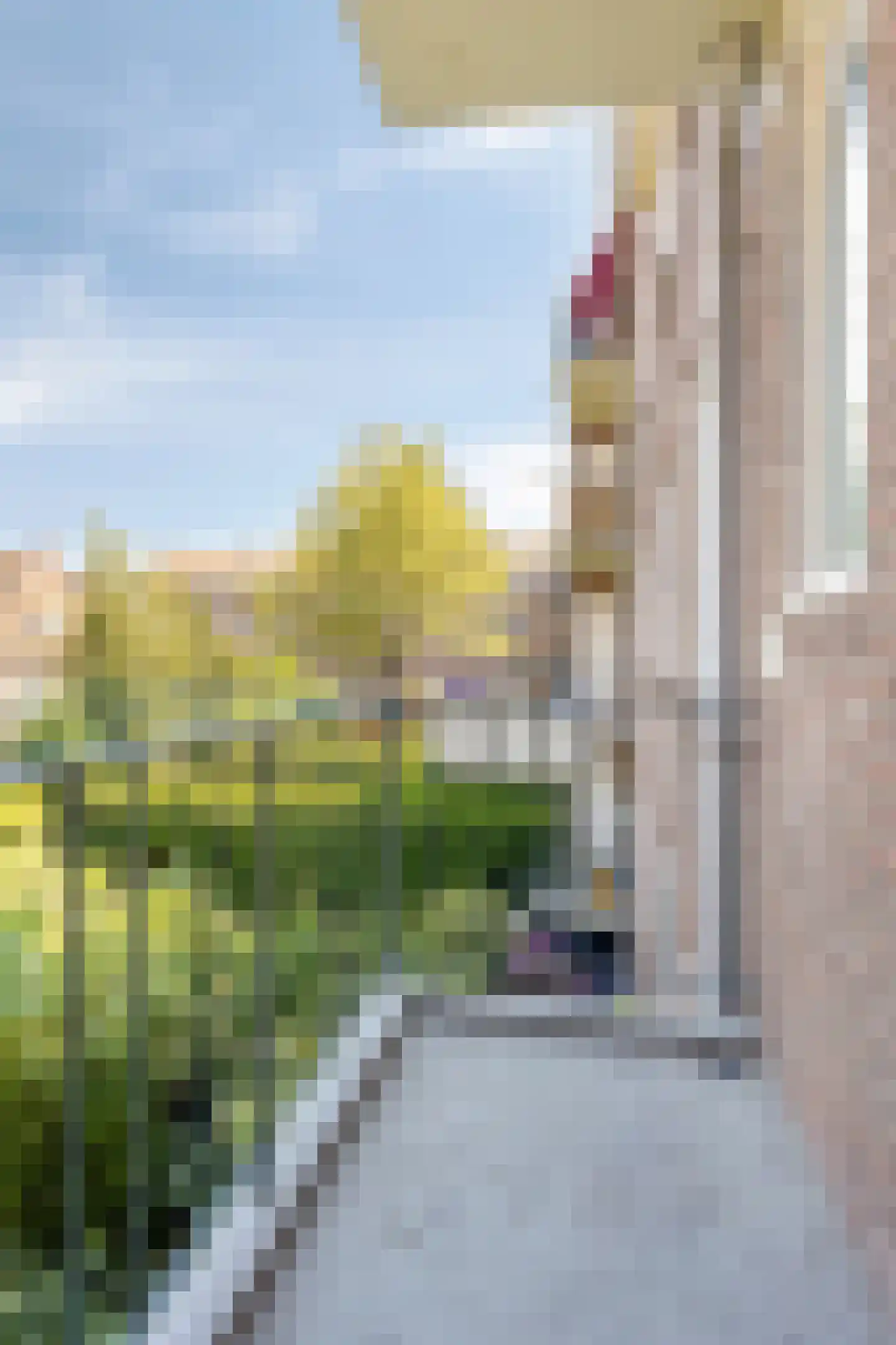 Jacob van Ruysdaelstraat 51 's-Hertogenbosch thumbnail 25