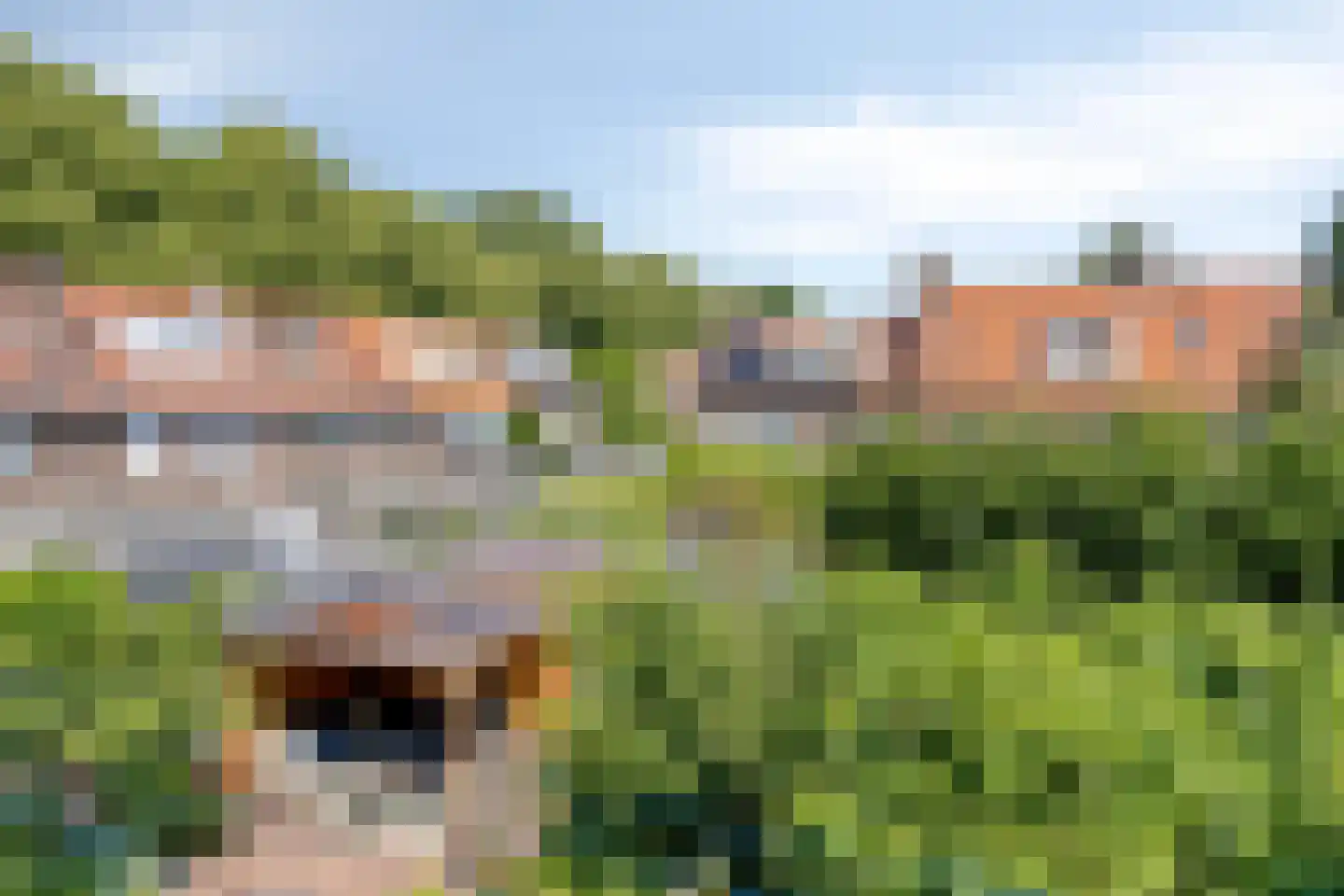 Jacob van Ruysdaelstraat 51 's-Hertogenbosch thumbnail 26