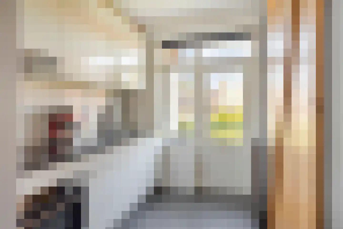 Jacob van Ruysdaelstraat 51 's-Hertogenbosch thumbnail 4