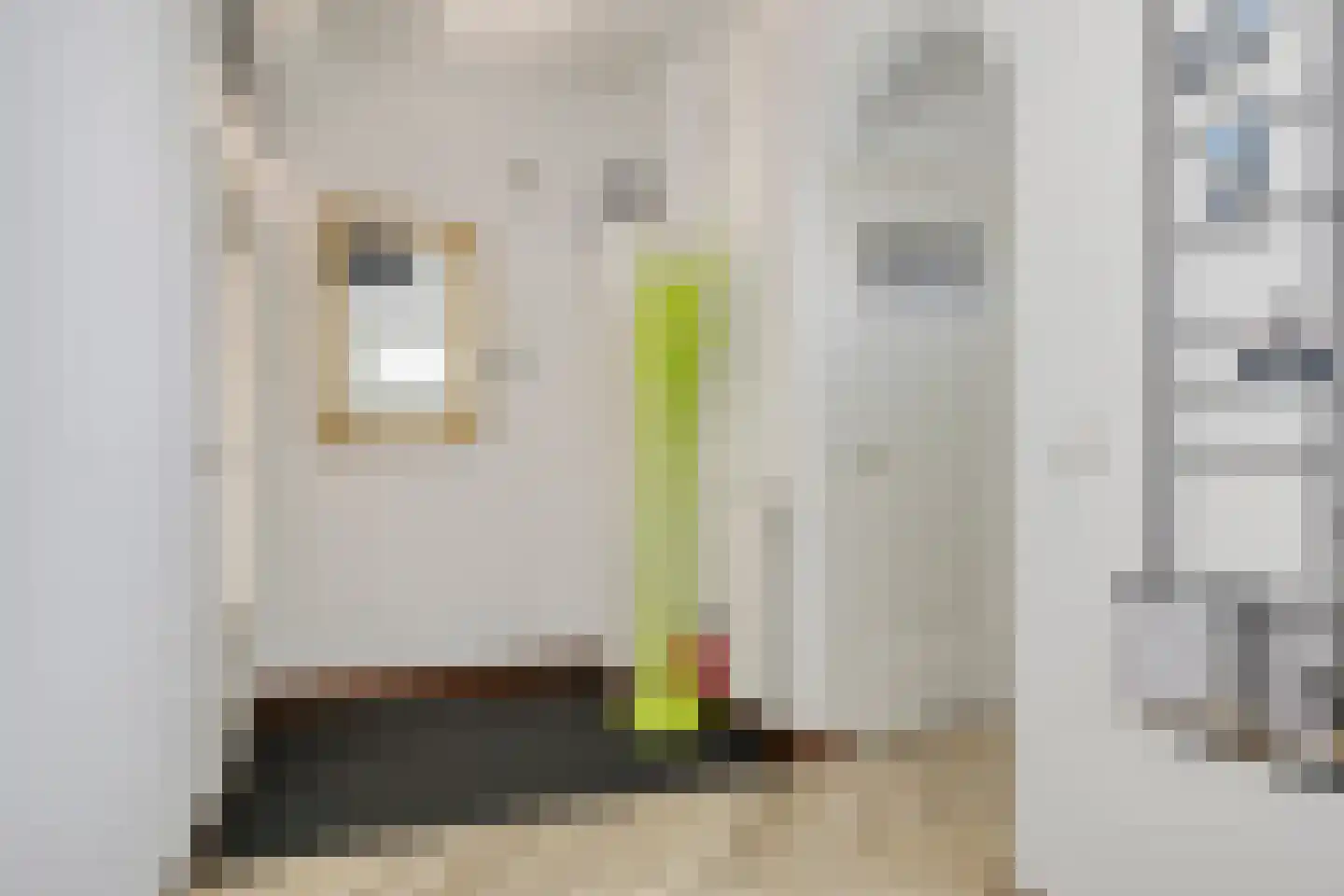 Jacob van Ruysdaelstraat 51 's-Hertogenbosch thumbnail 6