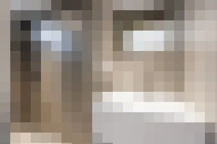 Jacob van Ruysdaelstraat 55 Groningen thumbnail 20