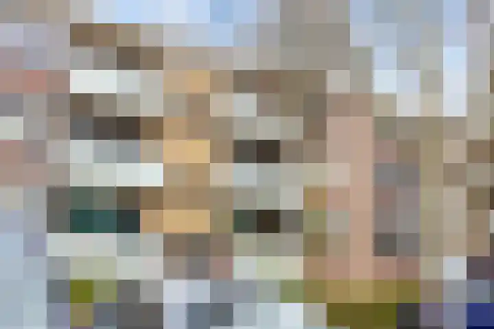 Jacob van Ruysdaelstraat 55 Groningen thumbnail 31