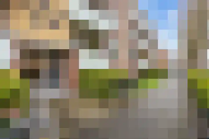 Jacob van Ruysdaelstraat 55 Groningen thumbnail 4