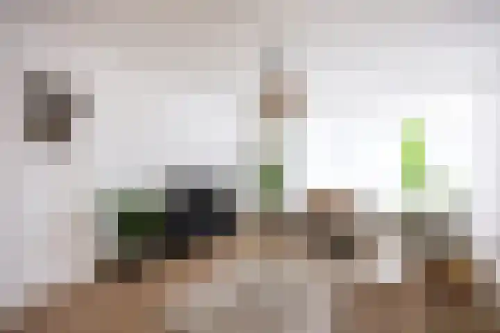 Jacob van Ruysdaelstraat 55 Groningen thumbnail 8