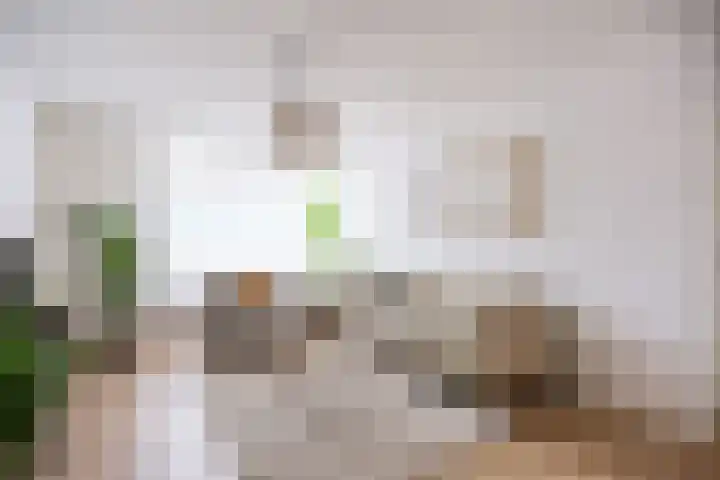 Jacob van Ruysdaelstraat 55 Groningen thumbnail 9