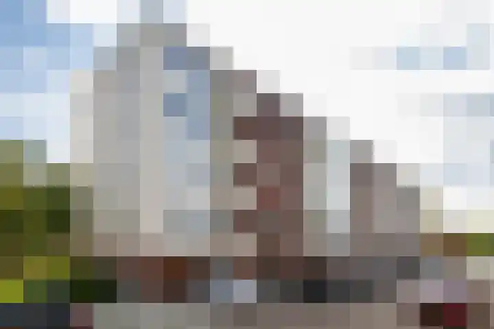 Jacob van Ruysdaelstraat 58 Almelo thumbnail 23