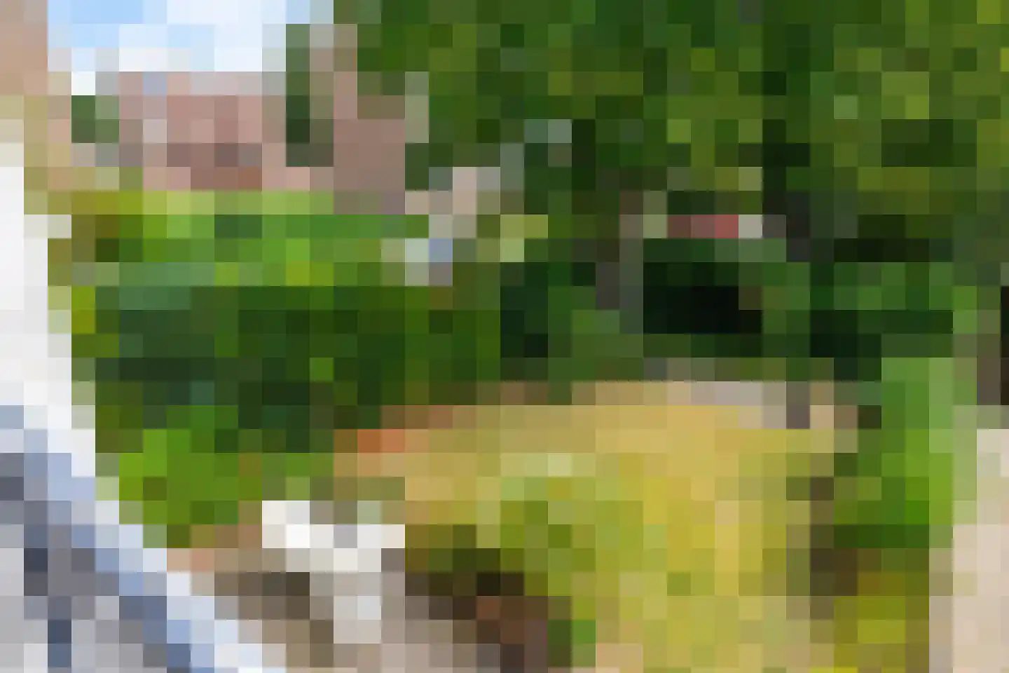 Jacob van Ruysdaelstraat 75 Groningen thumbnail 37