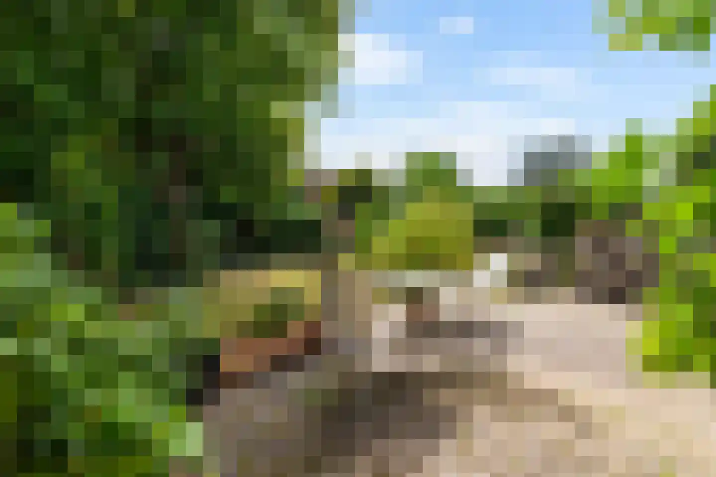 Jacob van Ruysdaelstraat 75 Groningen thumbnail 39