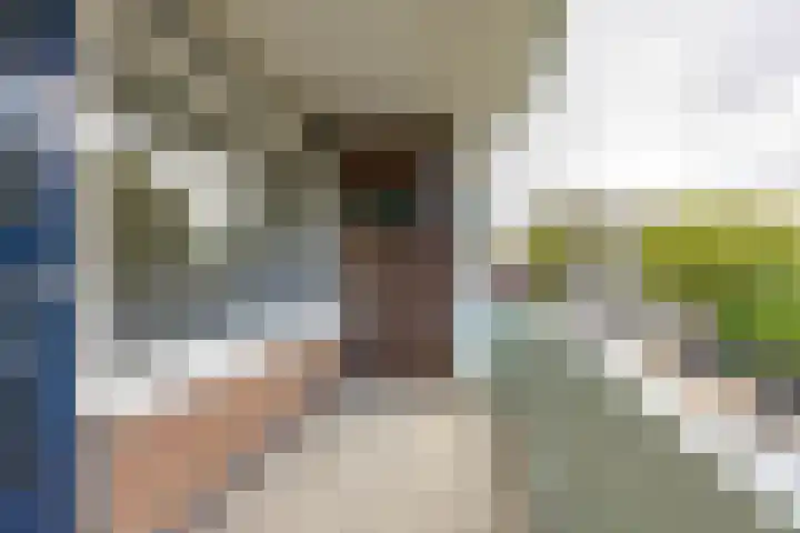 Jacob van Ruysdaelstraat 76 Groningen thumbnail 25