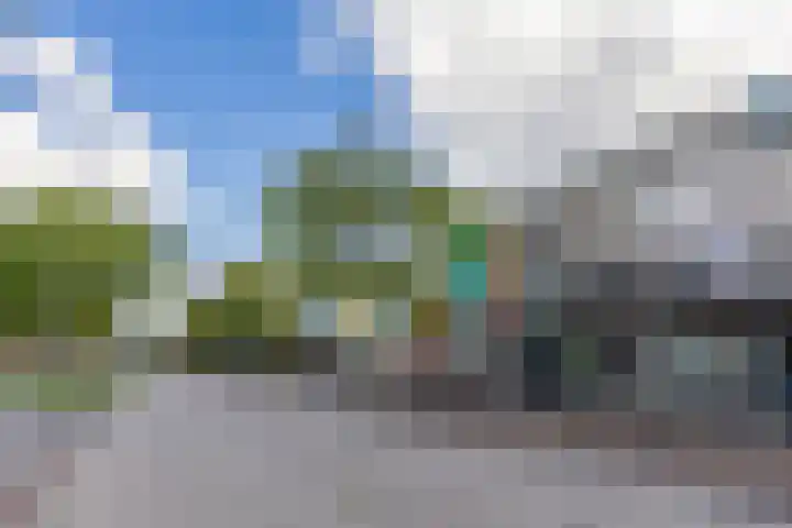 Jacob van Ruysdaelstraat 76 Groningen thumbnail 36