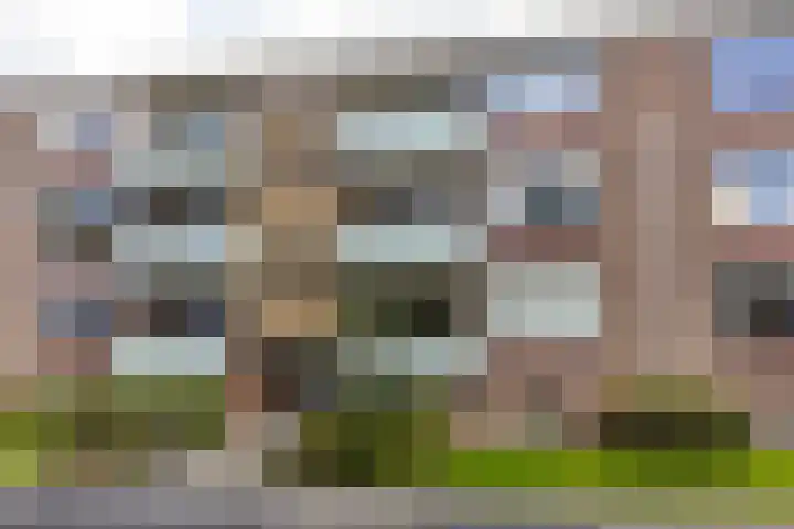 Jacob van Ruysdaelstraat 76 Groningen thumbnail 7