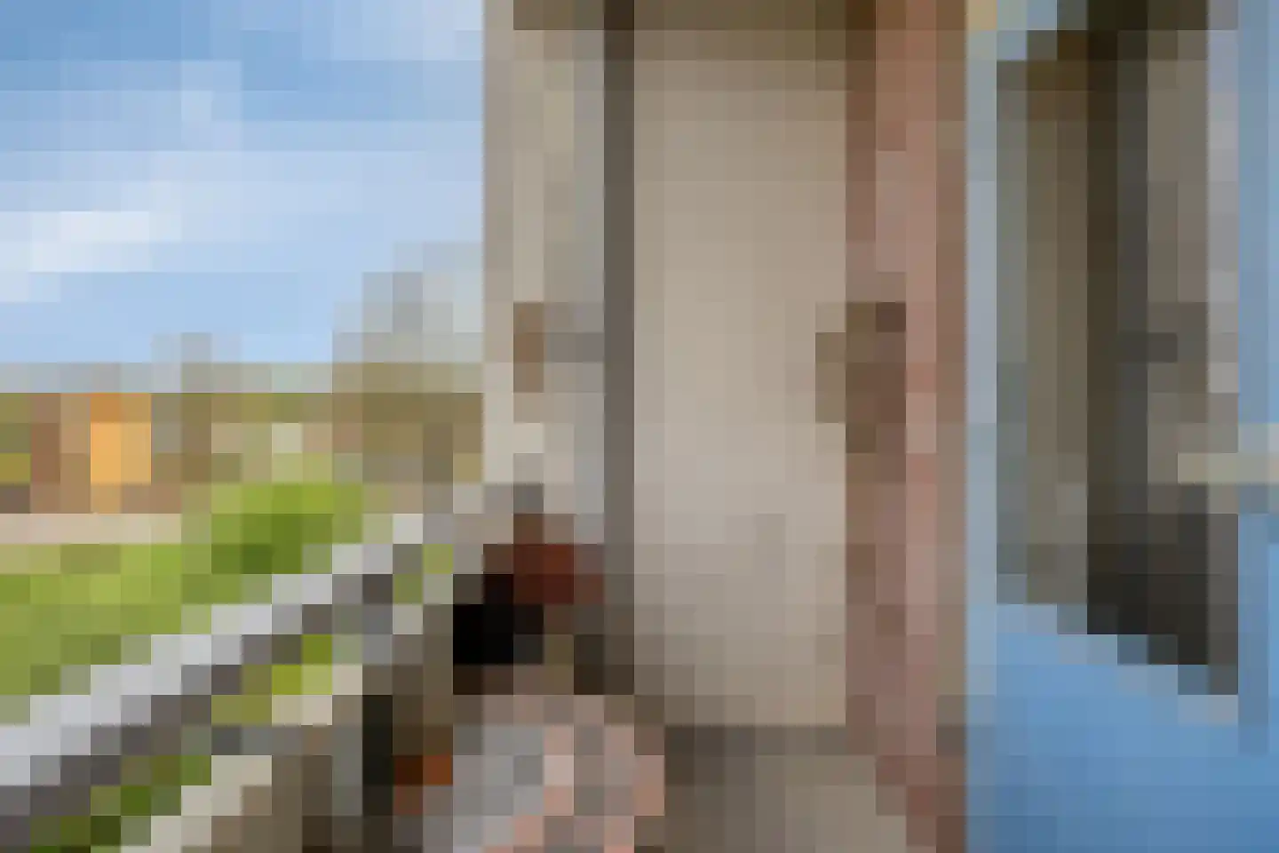 Jacob van Ruysdaelstraat 78 Almelo thumbnail 14