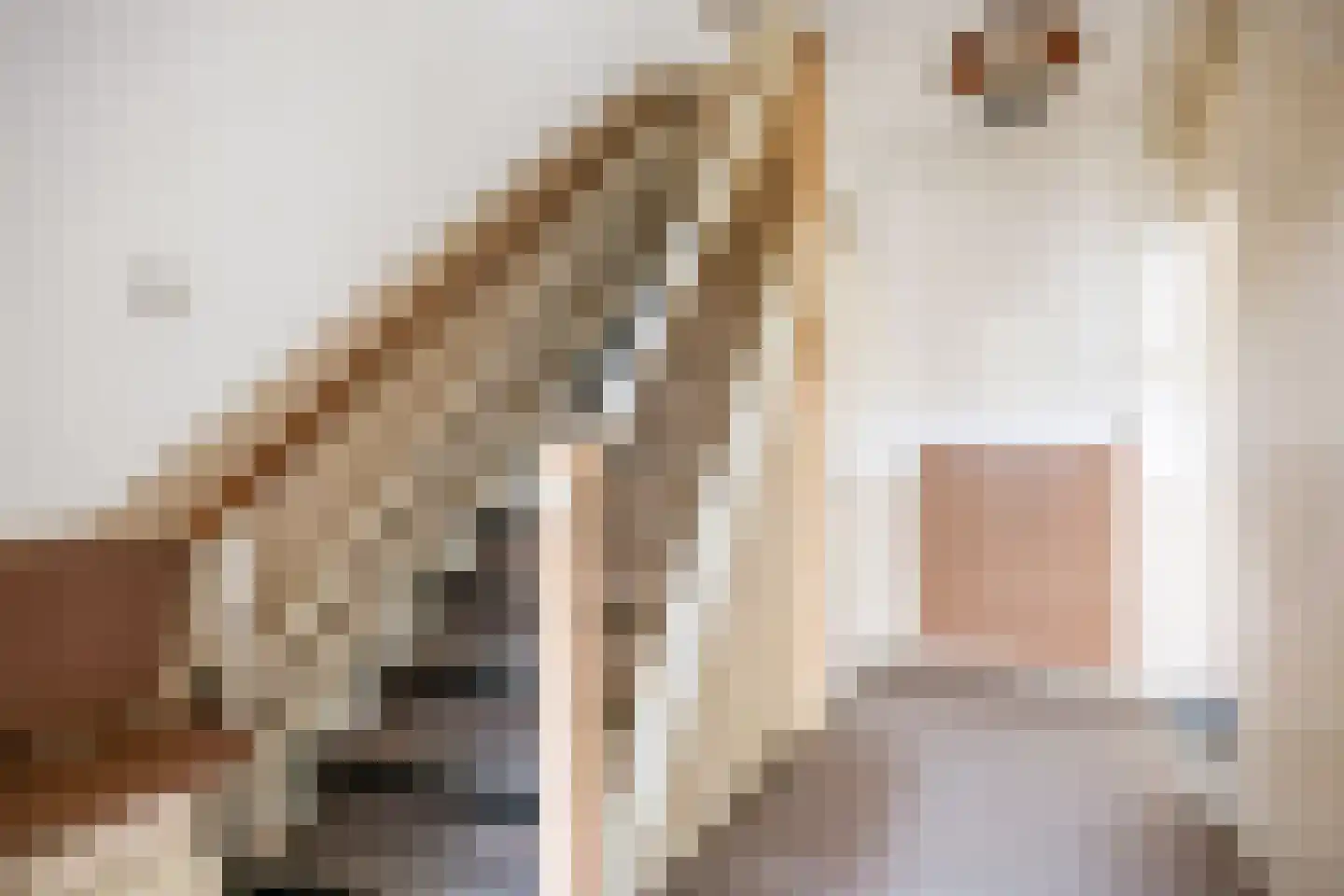 Jacob van Ruysdaelstraat 79 Groningen thumbnail 11