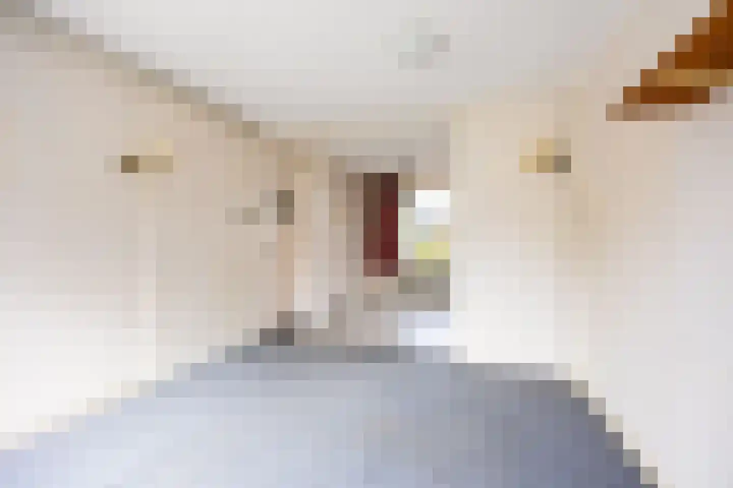 Jacob van Ruysdaelstraat 79 Groningen thumbnail 16