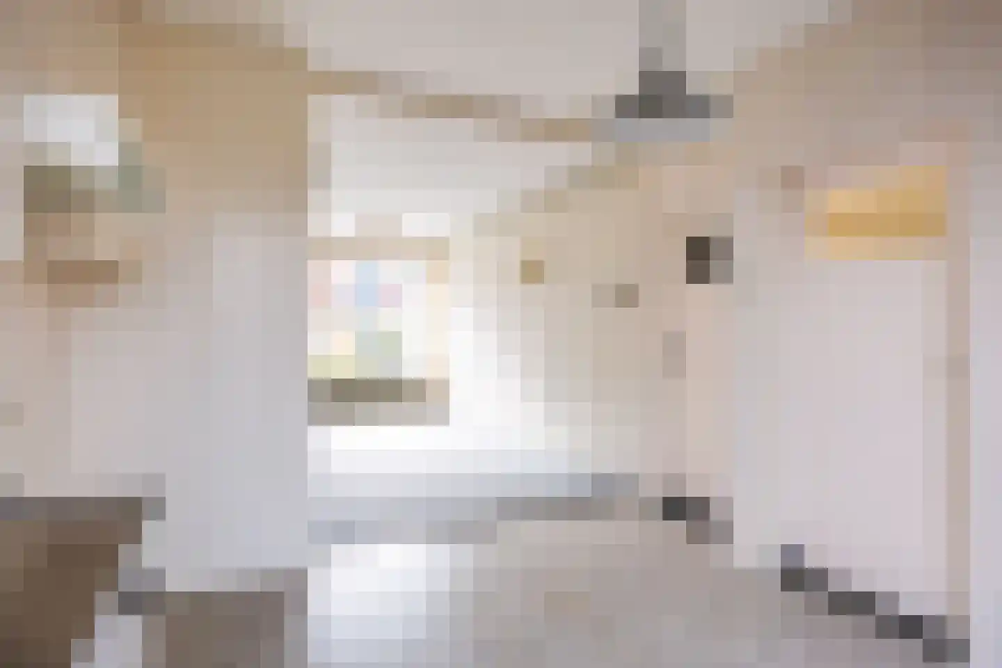 Jacob van Ruysdaelstraat 79 Groningen thumbnail 21