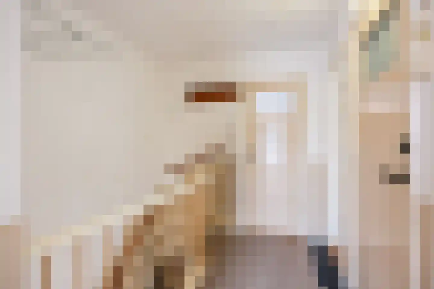 Jacob van Ruysdaelstraat 79 Groningen thumbnail 26