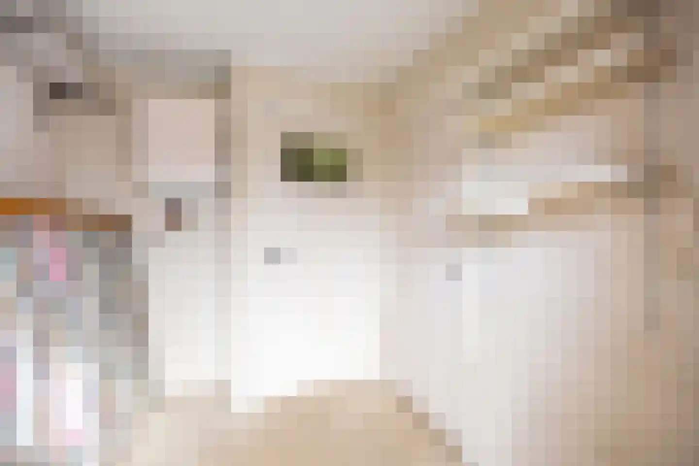 Jacob van Ruysdaelstraat 79 Groningen thumbnail 36