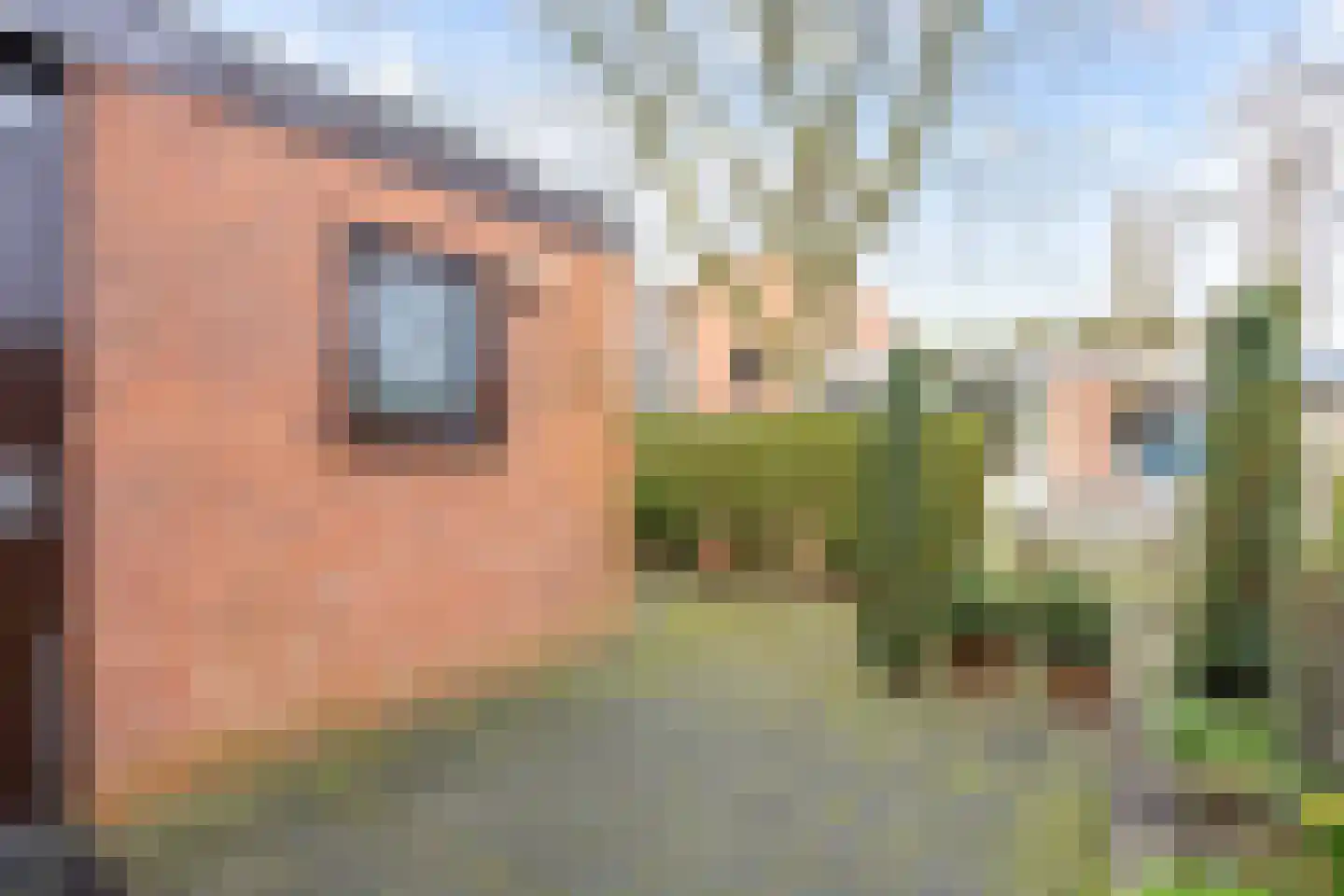 Jacob van Ruysdaelstraat 79 Groningen thumbnail 46