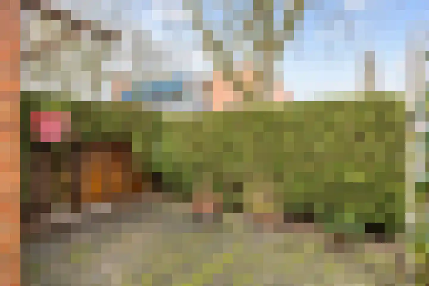 Jacob van Ruysdaelstraat 79 Groningen thumbnail 47
