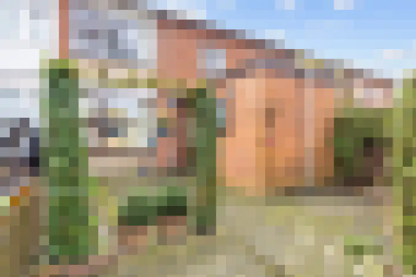 Jacob van Ruysdaelstraat 79 Groningen thumbnail 49