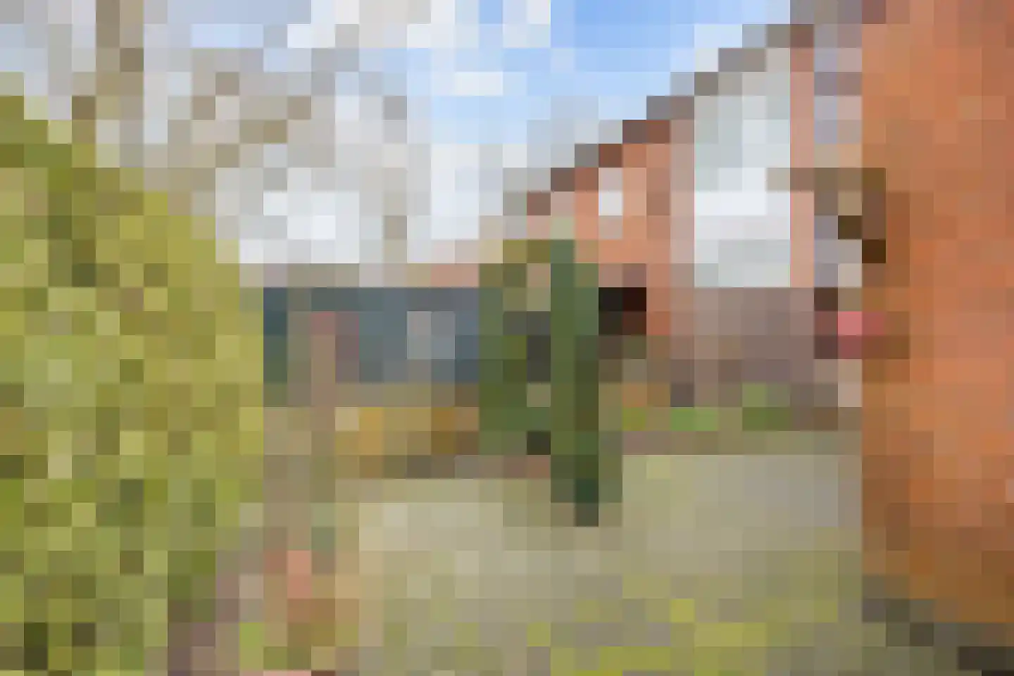 Jacob van Ruysdaelstraat 79 Groningen thumbnail 50