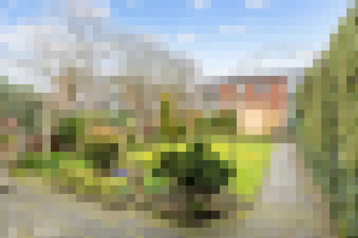 Jacob van Ruysdaelstraat 79 Groningen thumbnail 6