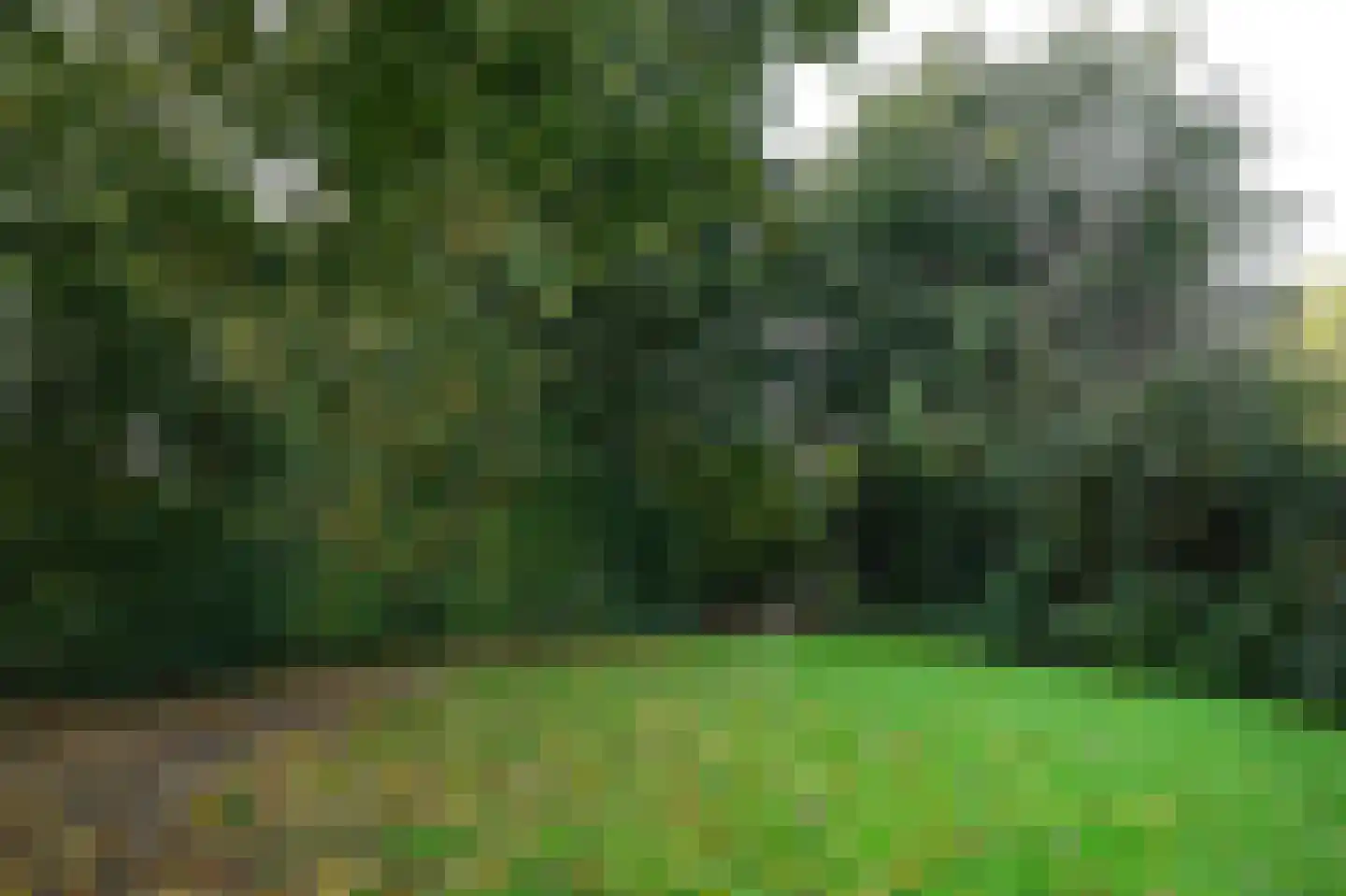 Jacob van Ruysdaelstraat 8 Nederhorst den Berg thumbnail 26
