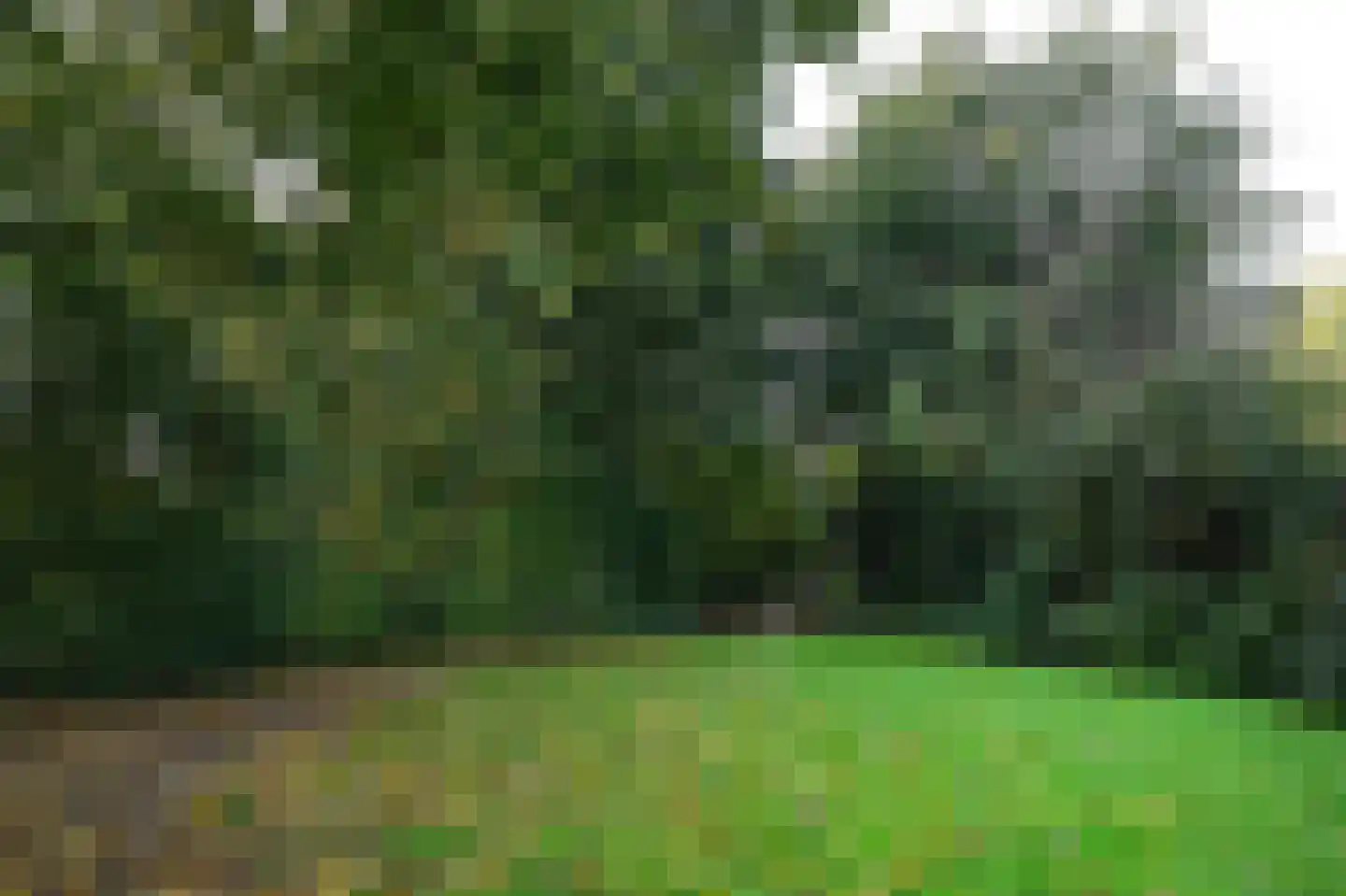 Jacob van Ruysdaelstraat 8 Nederhorst den Berg thumbnail 26
